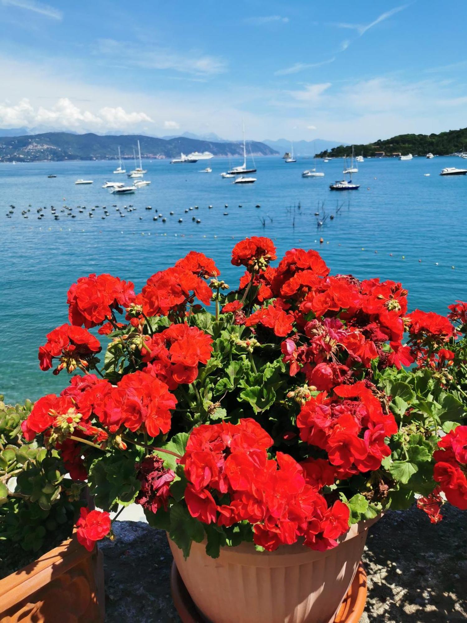 B&B La Palafitta Porto Venere Exteriér fotografie